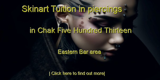 Skinart Tuition in piercings in Chak Five Hundred Thirteen Eastern Bar area-United Kingdom