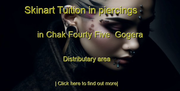 Skinart Tuition in piercings in Chak Fourty Five  Gogera Distributary area-United Kingdom