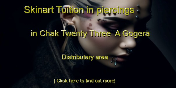 Skinart Tuition in piercings in Chak Twenty Three  A Gogera Distributary area-United Kingdom