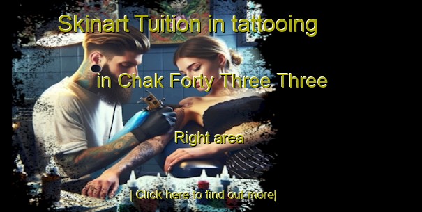 Skinart Tuition in tattooing in Chak Forty Three Three Right area-United Kingdom