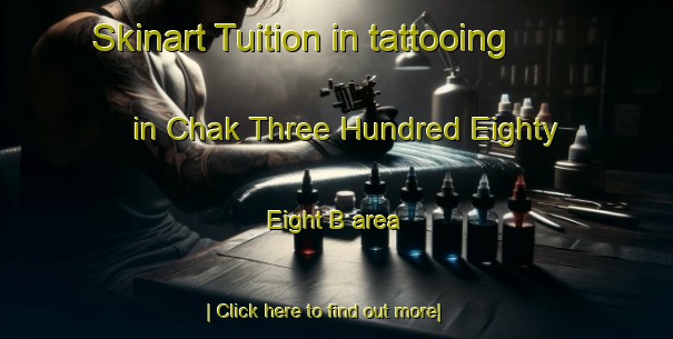 Skinart Tuition in tattooing in Chak Three Hundred Eighty Eight B area-United Kingdom