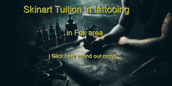 Skinart Tuition in tattooing in Fek area-United Kingdom