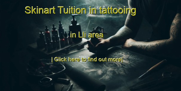 Skinart Tuition in tattooing in Lli area-United Kingdom