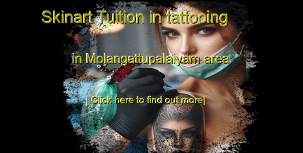 Skinart Tuition in tattooing in Molangattupalaiyam area-United Kingdom