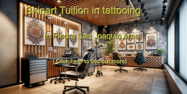 Skinart Tuition in tattooing in Piedra San Joaquin area-United Kingdom