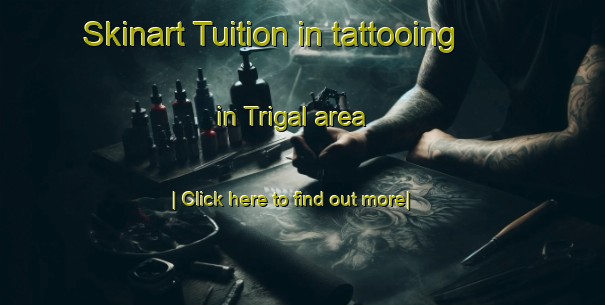 Skinart Tuition in tattooing in Trigal area-United Kingdom