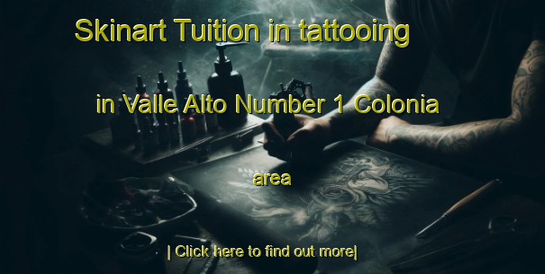 Skinart Tuition in tattooing in Valle Alto Number 1 Colonia area-United Kingdom