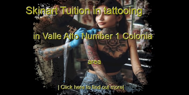 Skinart Tuition in tattooing in Valle Alto Number 1 Colonia area-United Kingdom