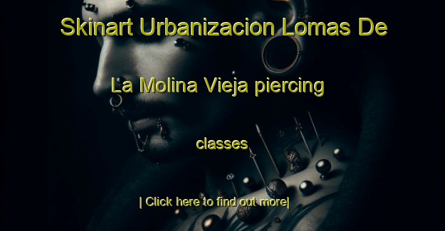 Skinart Urbanizacion Lomas De La Molina Vieja piercing classes-United Kingdom