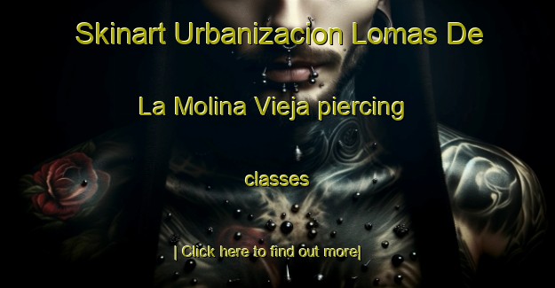 Skinart Urbanizacion Lomas De La Molina Vieja piercing classes-United Kingdom