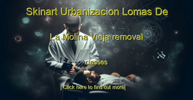 Skinart Urbanizacion Lomas De La Molina Vieja removal classes-United Kingdom