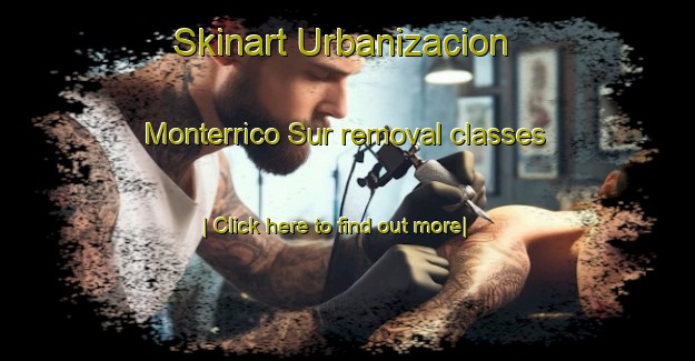 Skinart Urbanizacion Monterrico Sur removal classes-United Kingdom