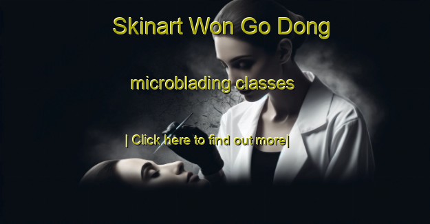 Skinart Won Go Dong microblading classes-United Kingdom