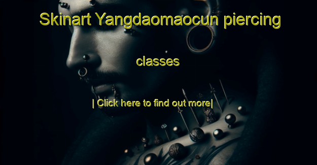 Skinart Yangdaomaocun piercing classes-United Kingdom