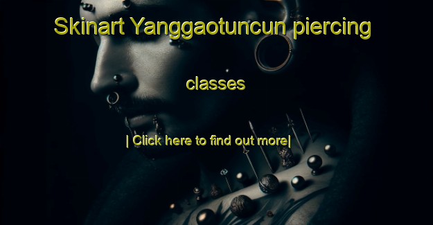 Skinart Yanggaotuncun piercing classes-United Kingdom