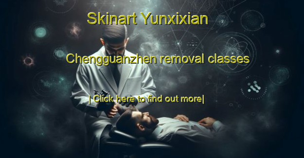 Skinart Yunxixian Chengguanzhen removal classes-United Kingdom