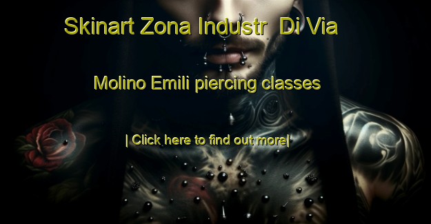 Skinart Zona Industr  Di Via Molino Emili piercing classes-United Kingdom