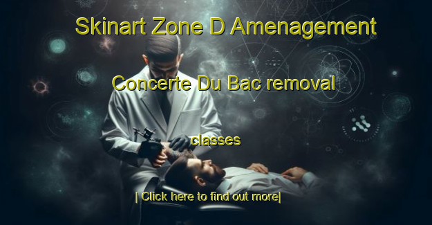 Skinart Zone D Amenagement Concerte Du Bac removal classes-United Kingdom